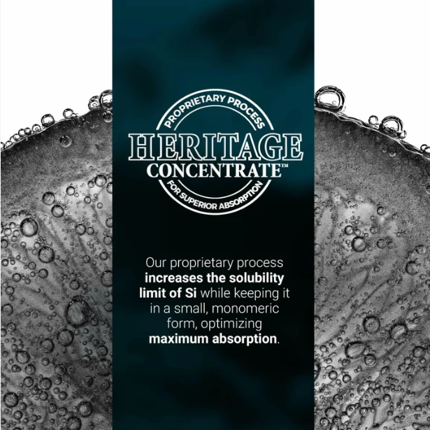 Orgono Living Silica Gel