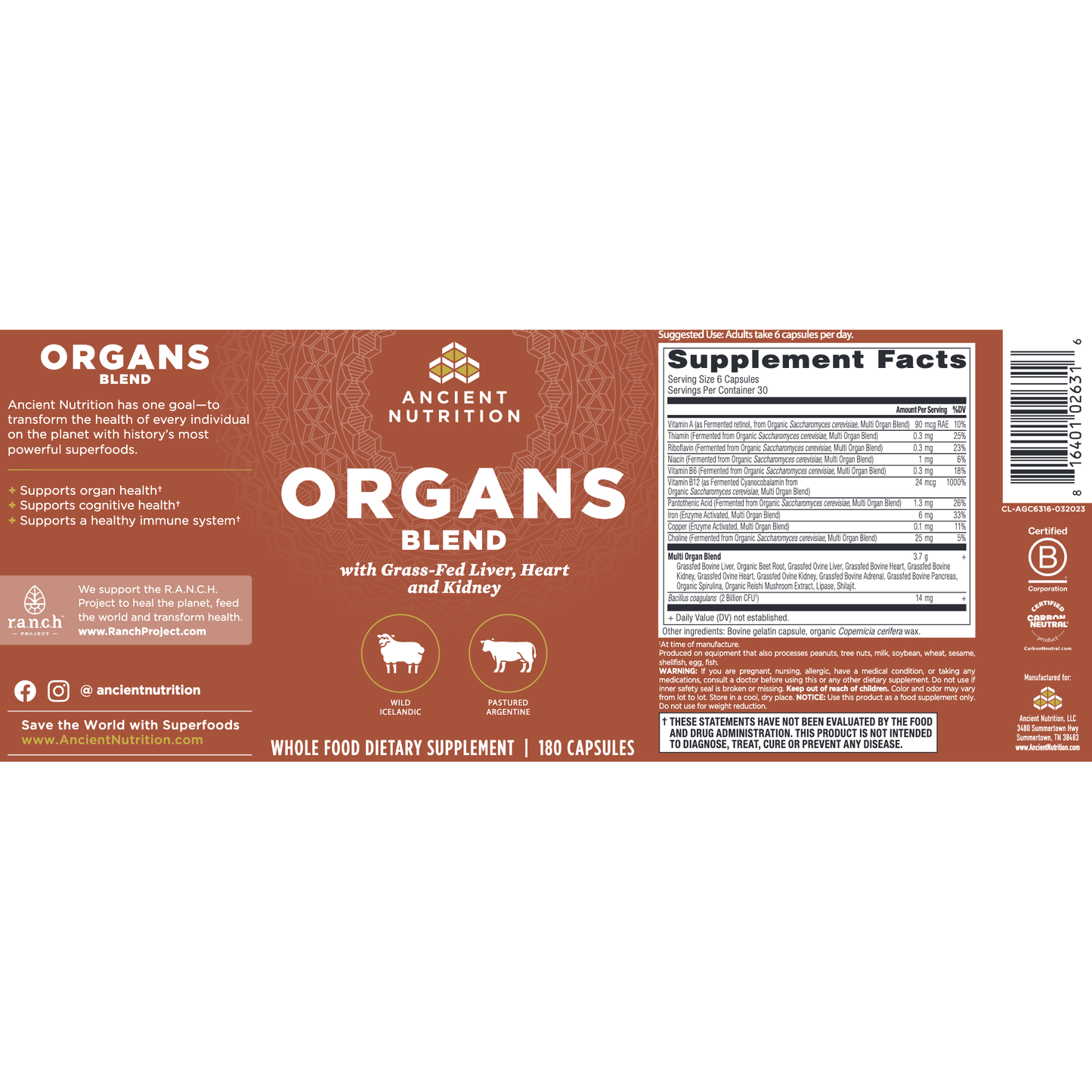 Organs Blend - Ancient Nutrition