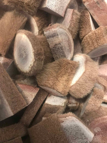 Elk Antler Spagyric Tincture