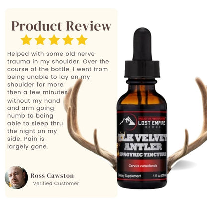 Elk Antler Spagyric Tincture