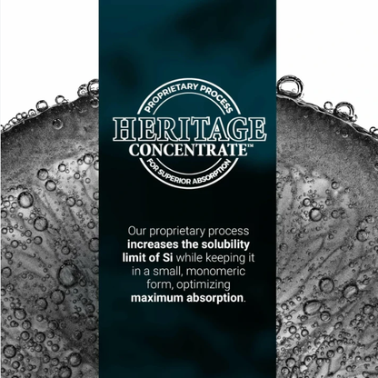 Orgono Living Silica Gel