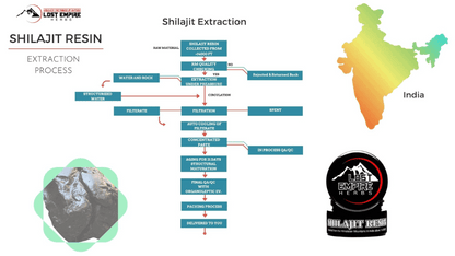 Shilajit Resin