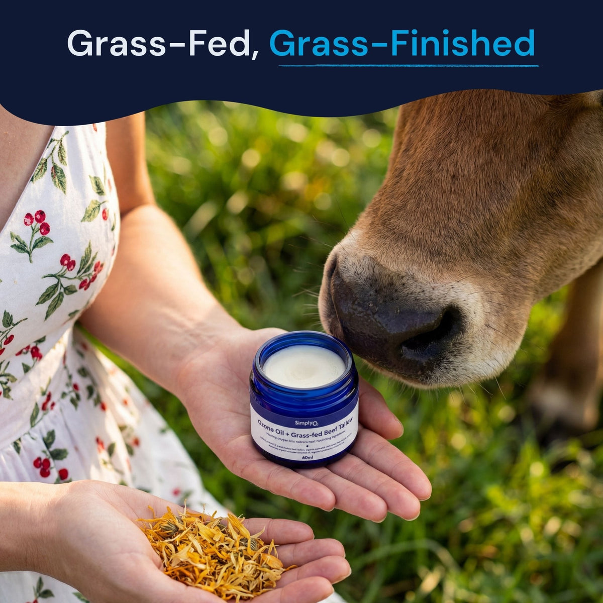 Beef Tallow + Ozone Oil Balm