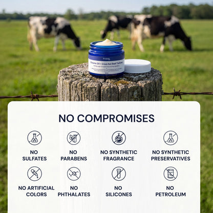 Beef Tallow + Ozone Oil Balm