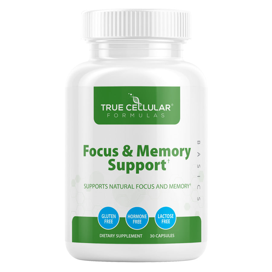 Focus and Memory Support